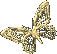 deco1